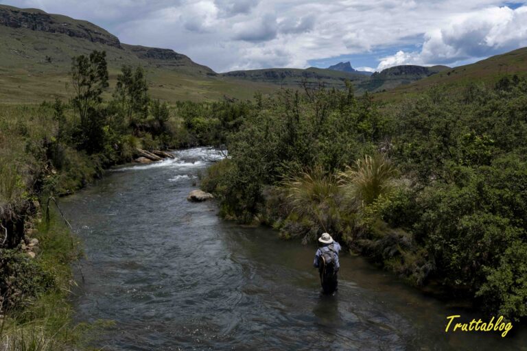 The upper Mooi River at Kamberg