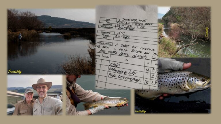 a collage of river flyfishing for Brown Trout in KZN