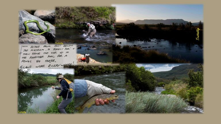 Trout fishing in the KZN Midlands