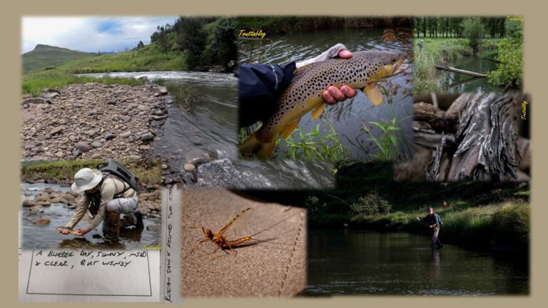Images of flyfishing in the Kwa-Zulu Natal midlands in South Africa