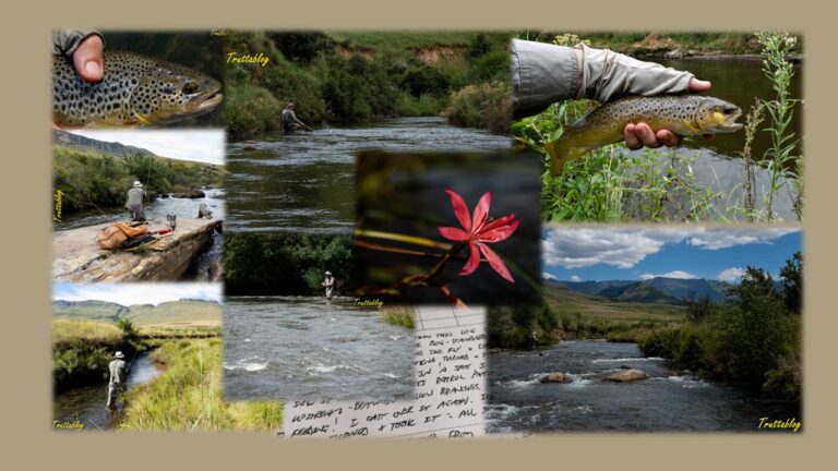 Images of flyfishing scenes from South Africa