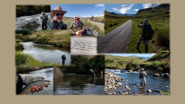 River flyfishing for Brown Trout in South Africa