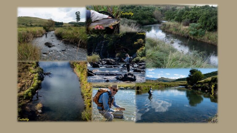A ceklebration of flyfishing in Kwa-Zulu Natal, South Africa