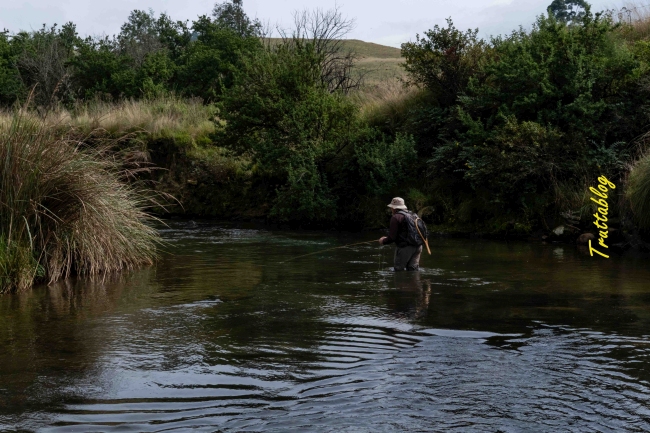 flyfishing the upper uMngeni River in the Dargle