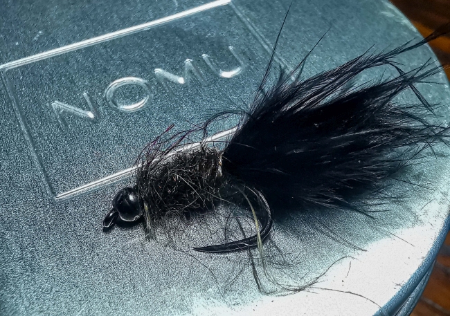 The Taddy bugger Trout fly
