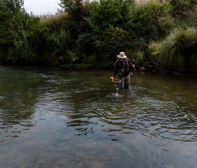 A Brown Trout from the upper uMngeni River