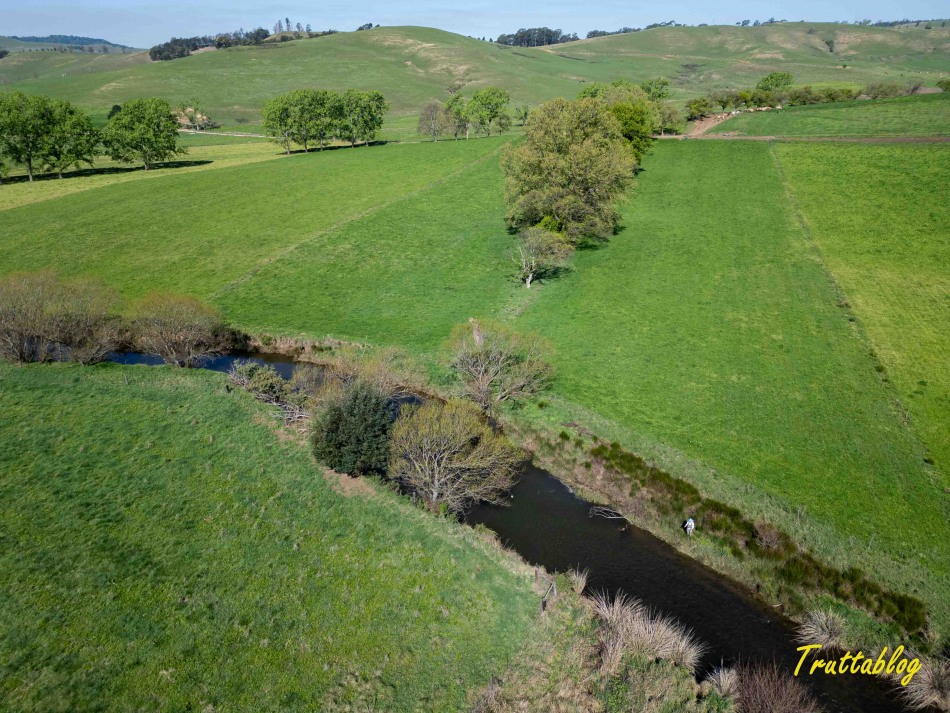 The uMngeni River in spring at Brigadoon