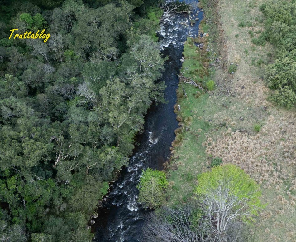 The uMngeni river running beside the Fort Nottingham forests